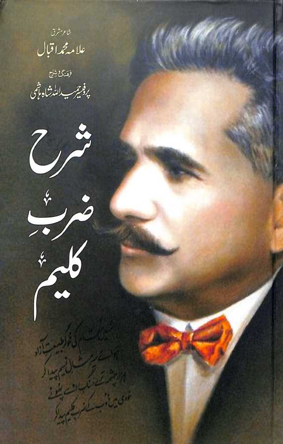 شرح ضرب کلیم